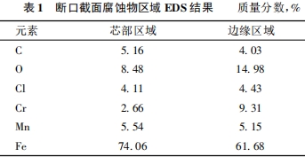 ڽ港g^(q) EDS Y